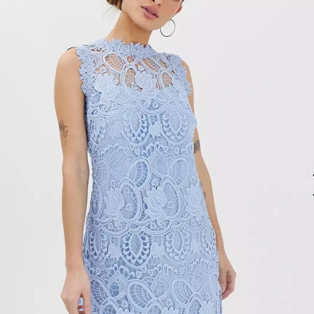 Paper Dolls Petite lace a- line dress in powder blue